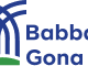 Babban Gona Jobs