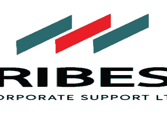 tribest jobs - tribest vacancies