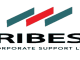 tribest jobs - tribest vacancies