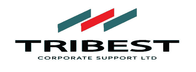 tribest jobs - tribest vacancies