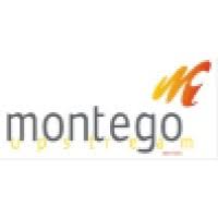 Jobs Montego Holdings