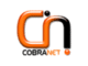 Cobranet Limited Jobs, Recruitment and Vacancies