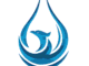 Blue Phoenix Deepwater Limited Jobs