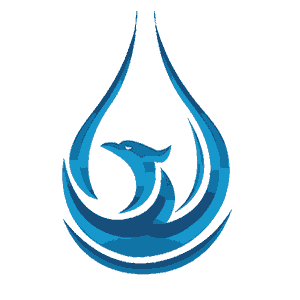 Blue Phoenix Deepwater Limited Jobs