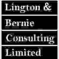 Lington & Bernie Consulting