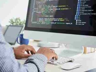 Software Developer Jobs