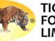 Tiger Foods Jobs