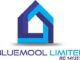 Bluemool Limited Jobs,