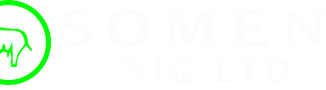 Someni Nigeria Limited Jobs, Recruitment and Vacancies