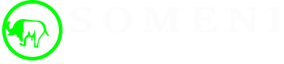 Someni Nigeria Limited Jobs, Recruitment and Vacancies